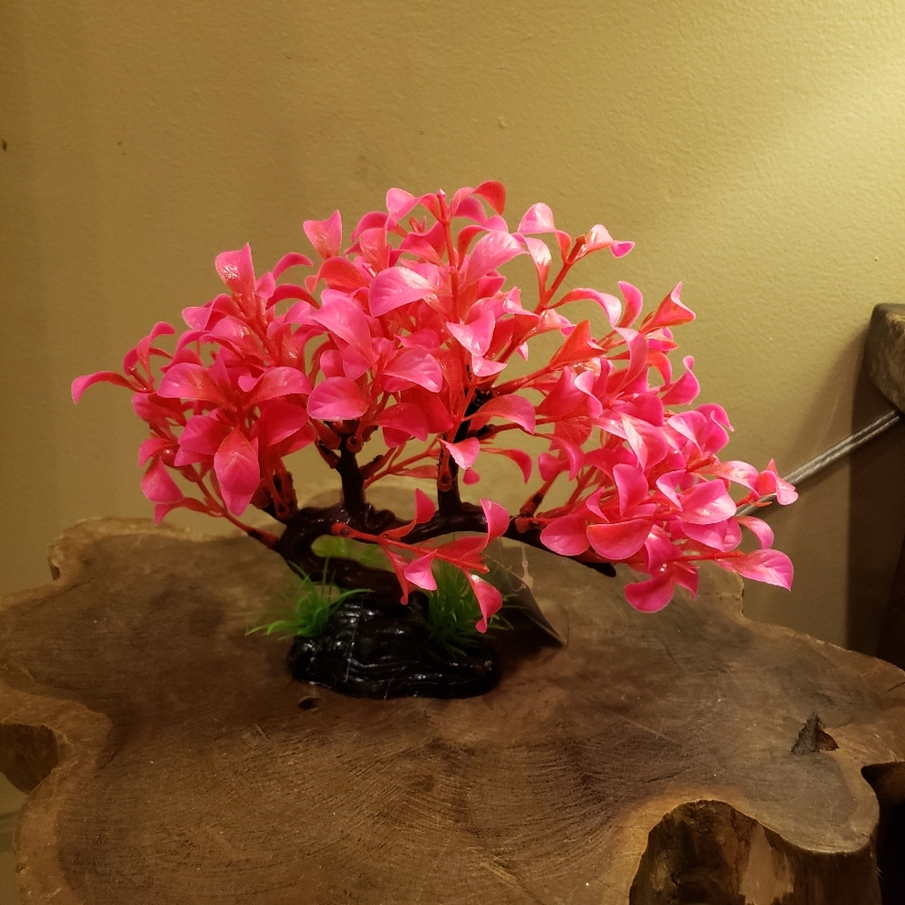 Top Fin Aquarium Plants Pink - Picture 4 of 12